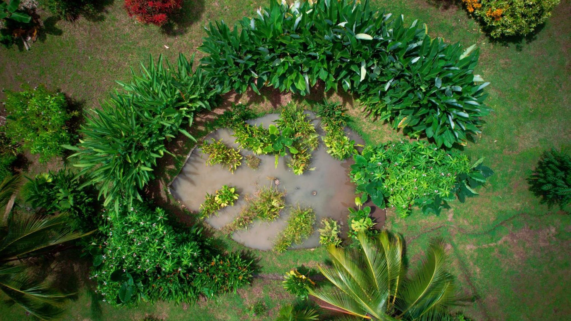 Eden Corcovado Villa San Pedrillo Exteriör bild